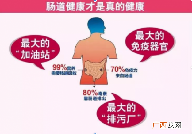 肠道脏怎么办成人益生菌还你干净肠道