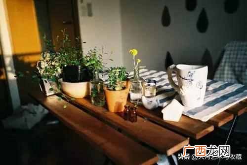 下一句是什么 三十而立是什么意思