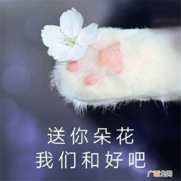 向对象道歉600字,怎么可爱地跟男朋友道歉
