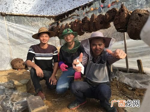 国内大型黄粉虫养殖基地 黄蜂虫养殖技术