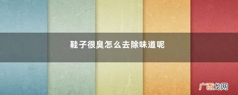 鞋子很臭怎么去除味道呢