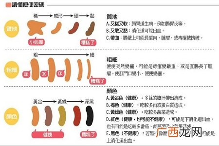便便颜色有什么症状?看颜色分出你的健康