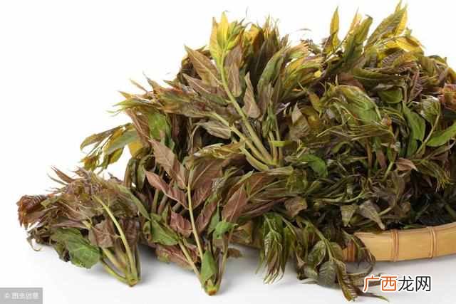 肾阴虚吃什么食物最好（肾阴虚和肾阳虚有什么