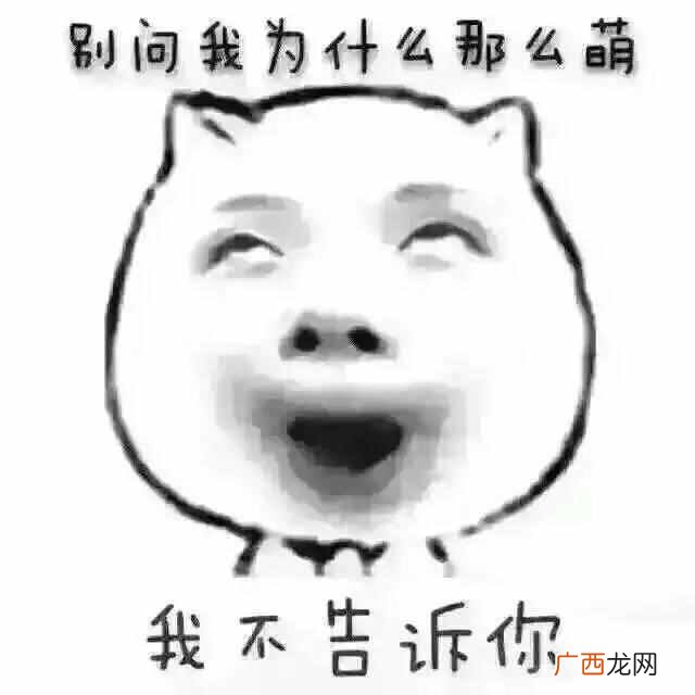 十二星座运势解析 2月19日是什么星座