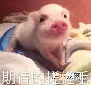 什么网游好玩又不花钱（盘点2019年最好玩网游大