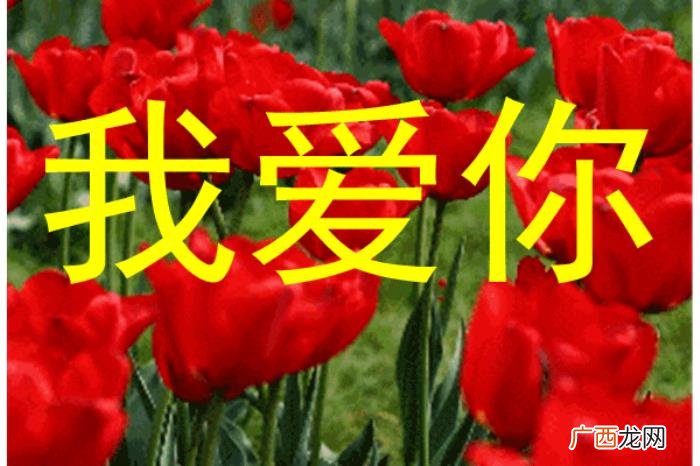 发给男情人的心里话，送给男朋友的最美的心里话