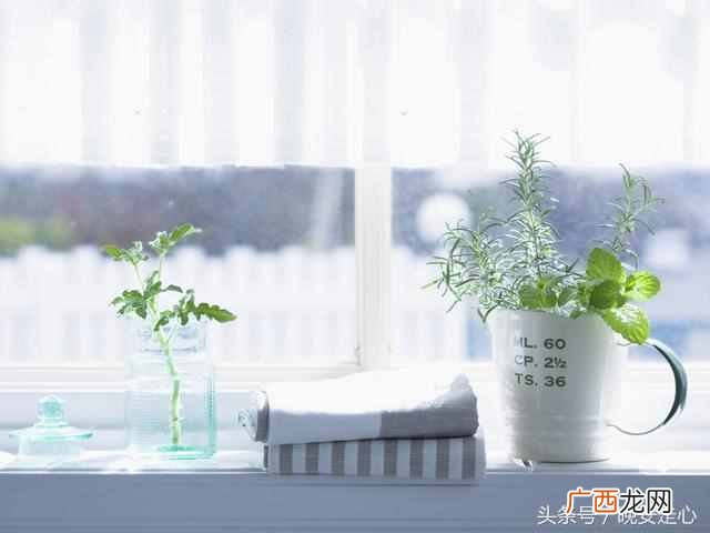 什么样是循规蹈矩 循规蹈矩什么意思