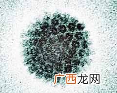 hpv阳性治疗方案推荐 hpv阳性是什么意思