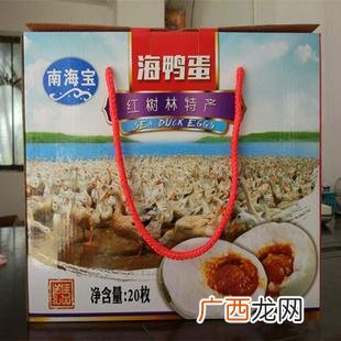 鸭子养殖场视频 广西海鸭养殖场视频
