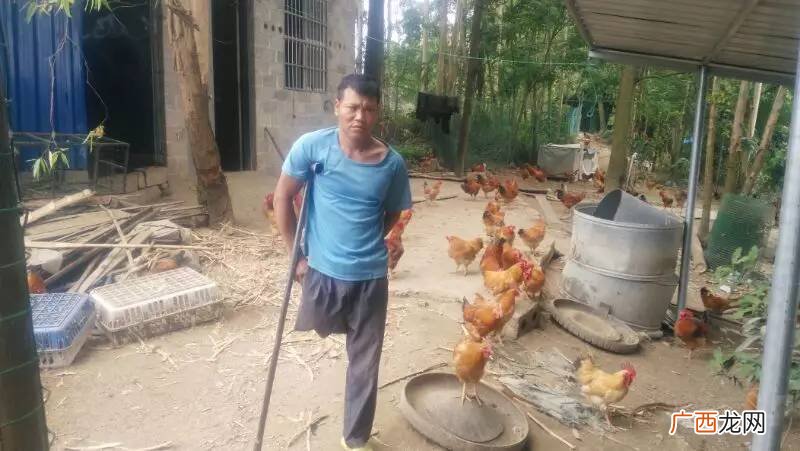 广西养殖合作公司 广西养殖致富