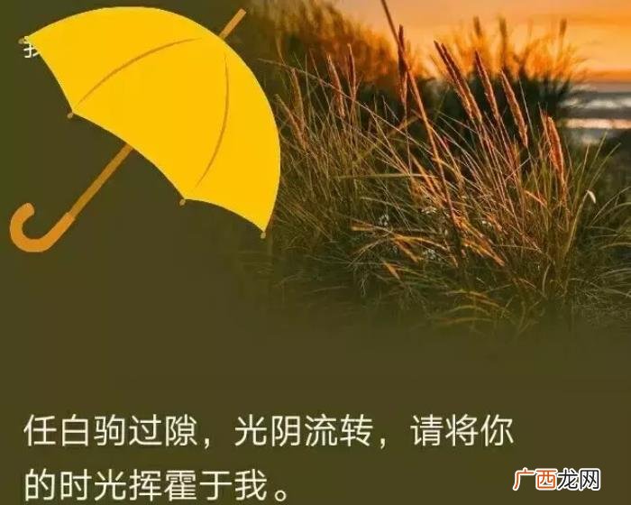 最近微信很火的一句话经典语录 微信语录