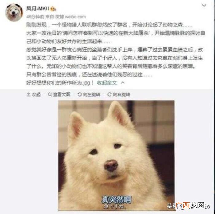我们一起取过的非主流网名 非主流空间网名