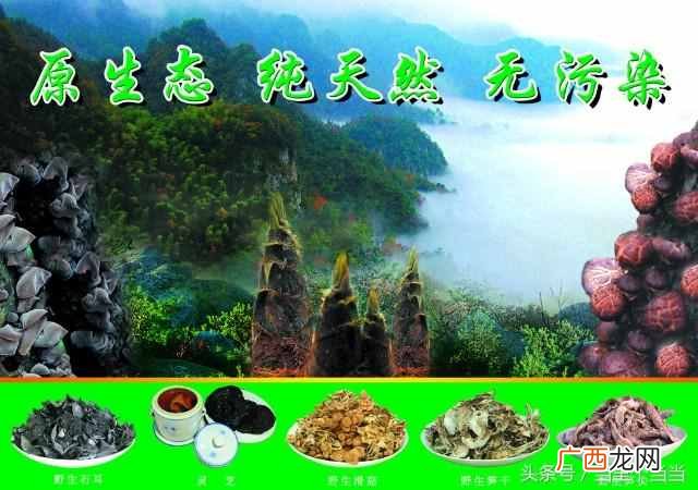 在家加工什么能挣钱（农村人不出门也可以赚钱