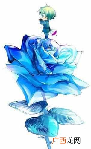 蓝色妖姬代表什么意思（蓝色妖姬的花语是什么