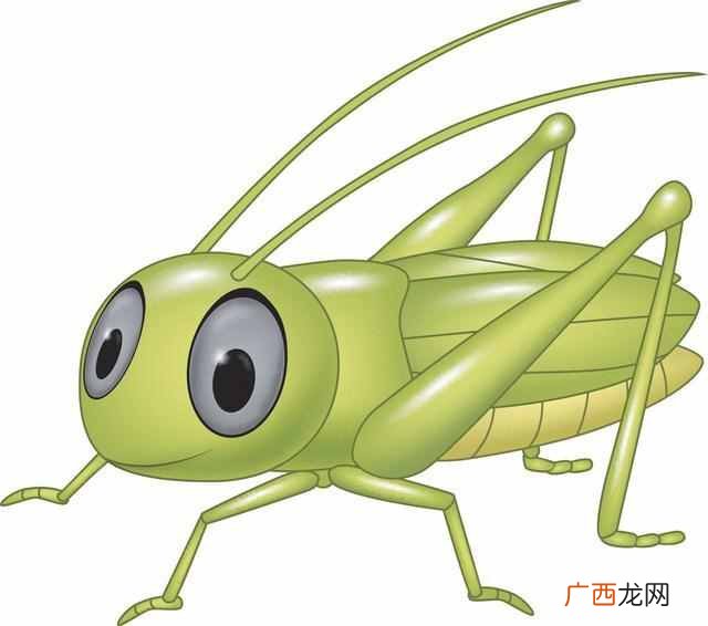 蟋蟀有哪些天敌 蟋蟀吃什么食物