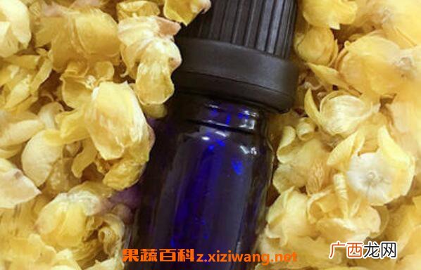 腊梅油的用途有哪些 腊梅油的药用价值