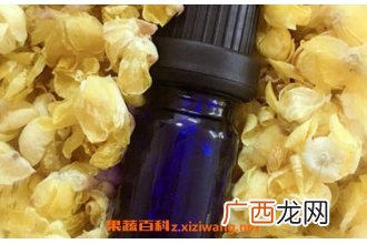 腊梅油的用途有哪些 腊梅油的药用价值