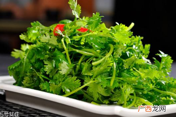香菜的营养价值吃香菜注意事项