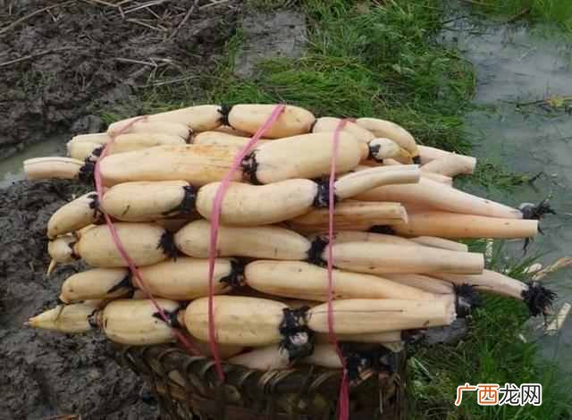 最常见的灭火器的食物 肝火旺吃什么食物好