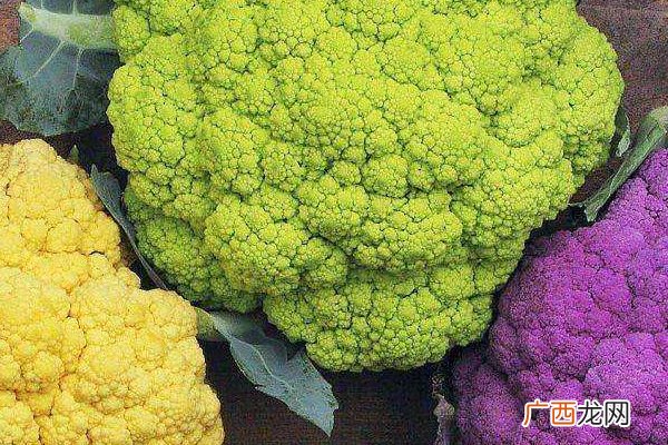 花椰菜怎么做更营养