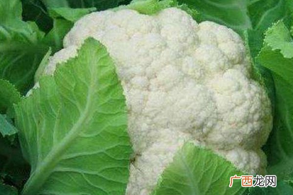花椰菜怎么做更营养