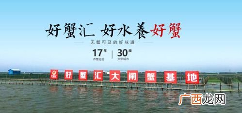 怎样拿螃蟹能不被夹到 盒子养殖大闸蟹厂家