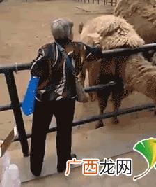 自动袜子机的骗局 袜子机器多少钱一台