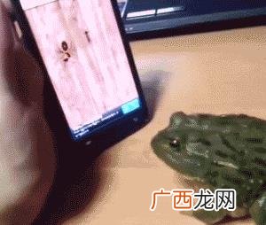 自动袜子机的骗局 袜子机器多少钱一台
