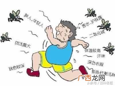 谁是蚊子的菜呢 蚊子喜欢什么血型