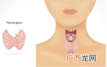 声音沙哑怎么办吃对做对轻松解决