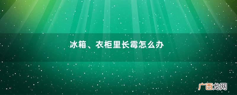 冰箱、衣柜里长霉怎么办