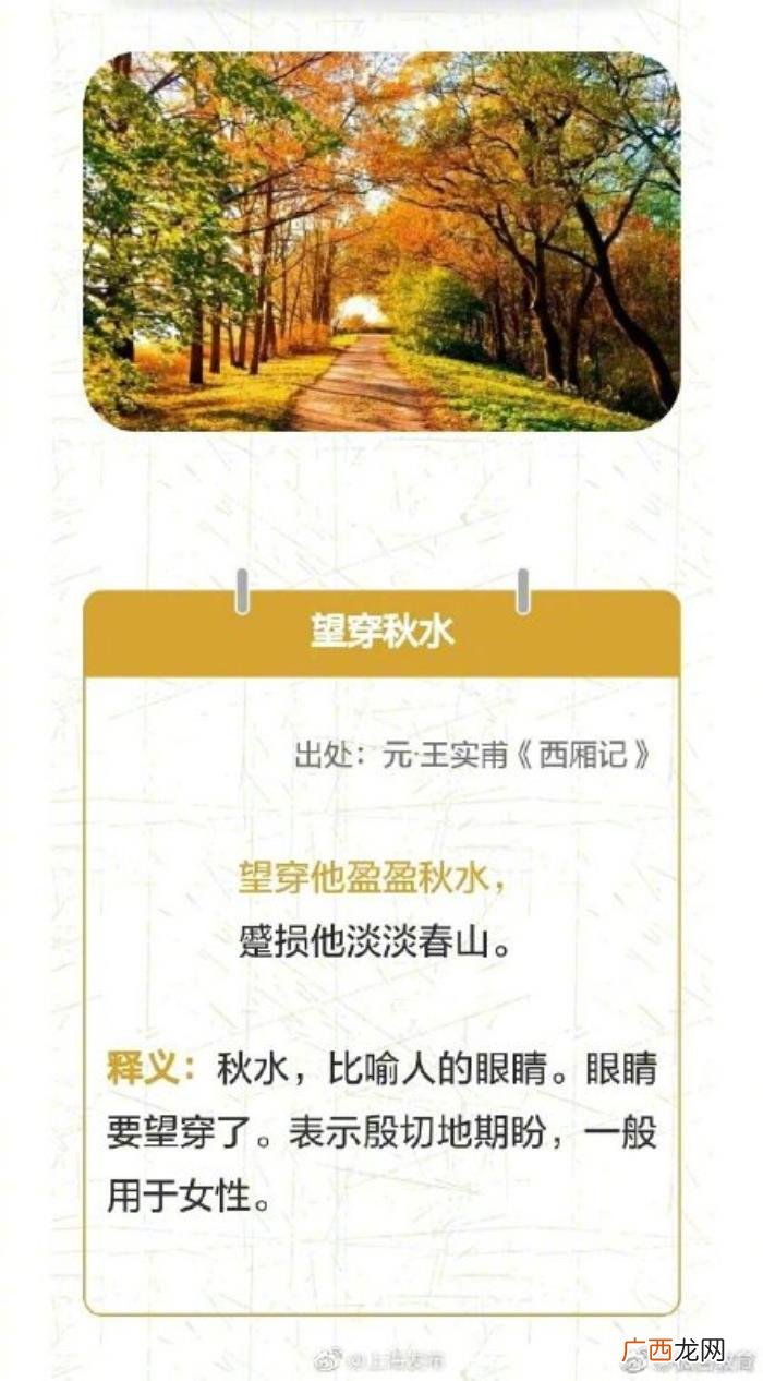 这些关于秋天的词语你知道多少 关于秋天的词语