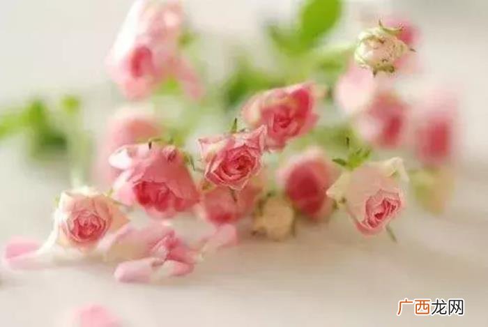 心里郁闷憋压抑的句子 郁闷的句子