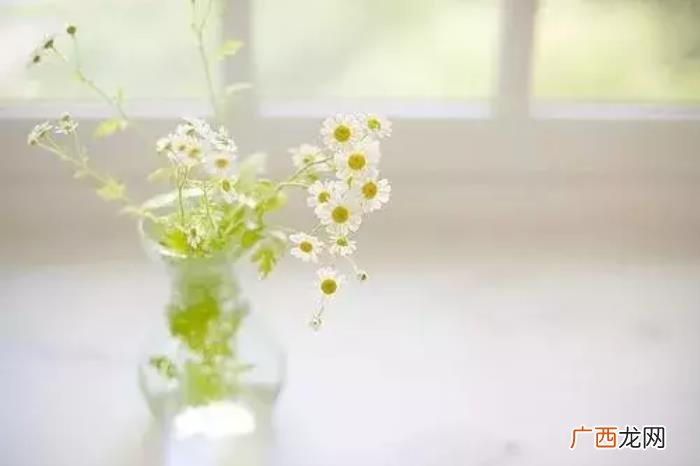 心里郁闷憋压抑的句子 郁闷的句子