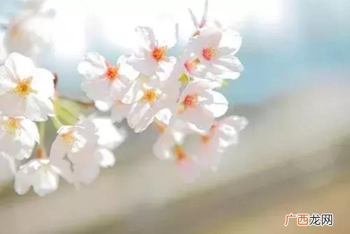 心里郁闷憋压抑的句子 郁闷的句子