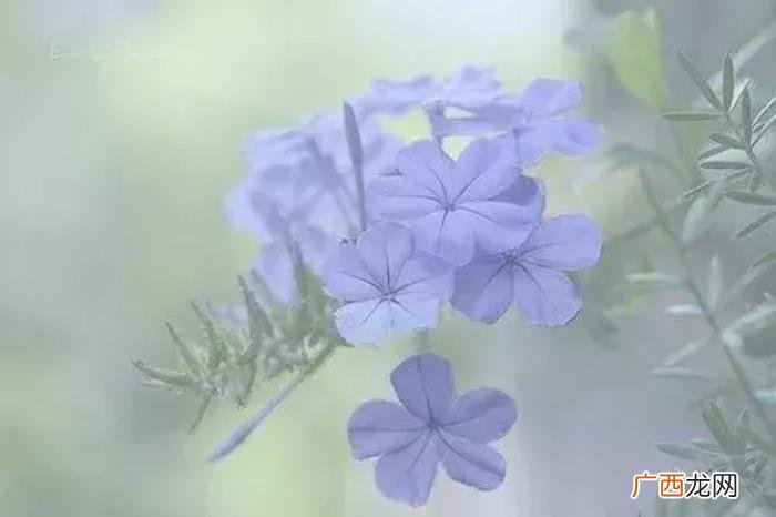 心里郁闷憋压抑的句子 郁闷的句子
