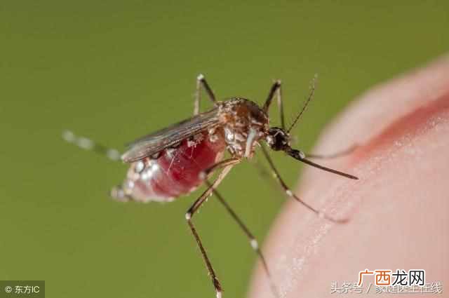 教你几招驱蚊好办法 什么血型招蚊子
