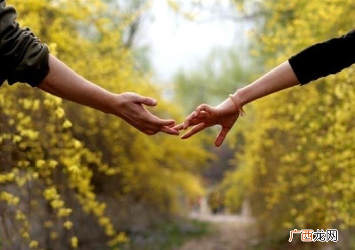那些优美动人的爱情诗句 关于爱的诗句