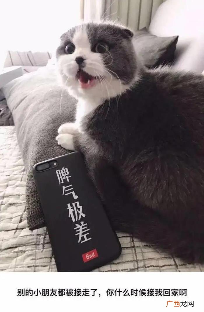 朋友圈最暖心的十句经典个性签名 个性留言