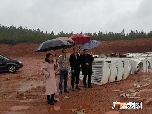 吉安果子狸养殖场 吉安万福养殖场