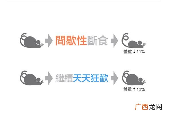 以前的减肥都做错了?研究表明多量少餐更能瘦