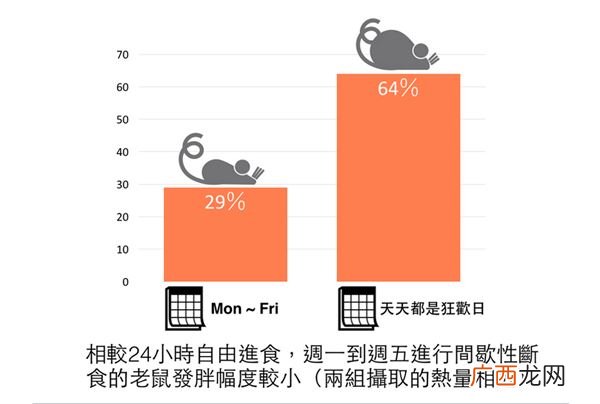 以前的减肥都做错了?研究表明多量少餐更能瘦