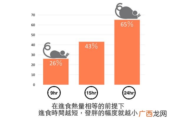 以前的减肥都做错了?研究表明多量少餐更能瘦