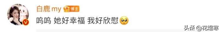 白鹿结婚照片，任嘉伦白鹿领结婚证细节太高甜