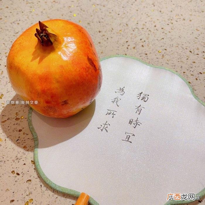 白鹿结婚照片，任嘉伦白鹿领结婚证细节太高甜