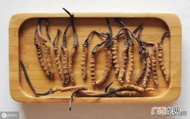 冬虫夏草是什么东西（冬虫夏草对身体有哪些好