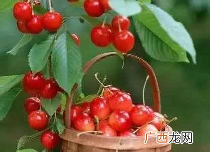 糖尿病吃什么水果和蔬菜最好（糖尿病人饮食禁