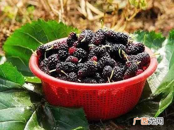 糖尿病吃什么水果和蔬菜最好（糖尿病人饮食禁
