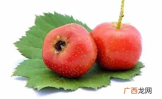 糖尿病吃什么水果和蔬菜最好（糖尿病人饮食禁