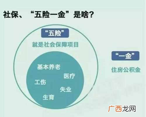 社保和养老保险有哪些区别 社保是什么意思
